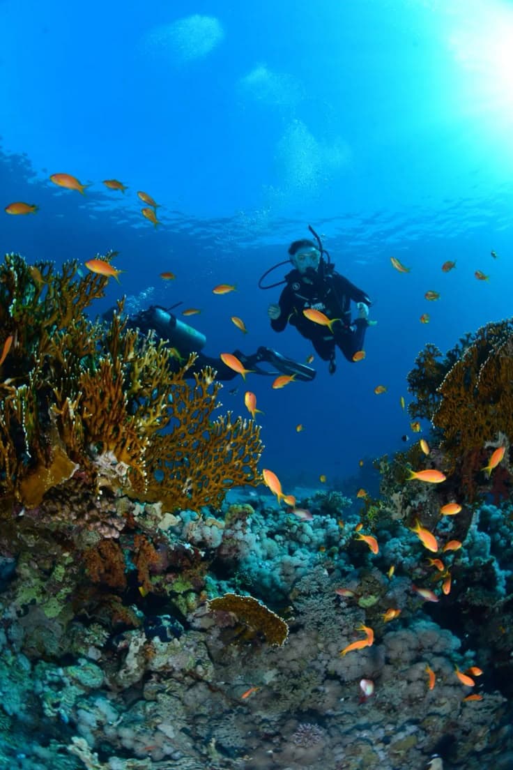 Dahab Safari from Sharm El-Sheikh: Canyon Salama & Blue Hole - image 1